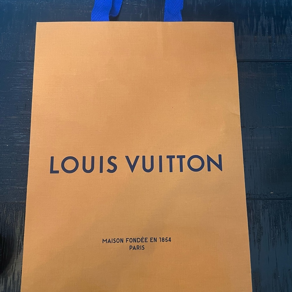 Louis Vuitton 10” x 14” shopping bag. Good condition.  From Paris. - Picture 2 of 7
